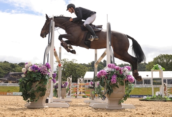 BOLESWORTH GEARS UP FOR YOUNG HORSE CHAMPIONSHIPS BY PRESENTING THE AL SHIRA’AA SUMMER SERIES